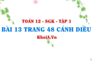 Bài 13 trang 48 Toán 12 tập 1 Cánh Diều